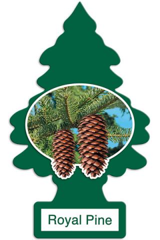 Little Trees Royal Pine one-pack (24 Count)